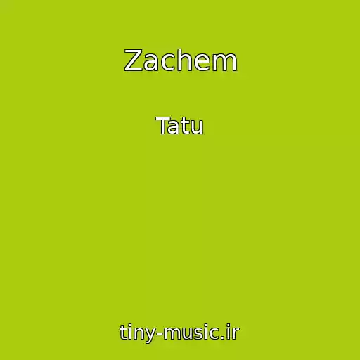 کاور آهنگ Zachem از Tatu