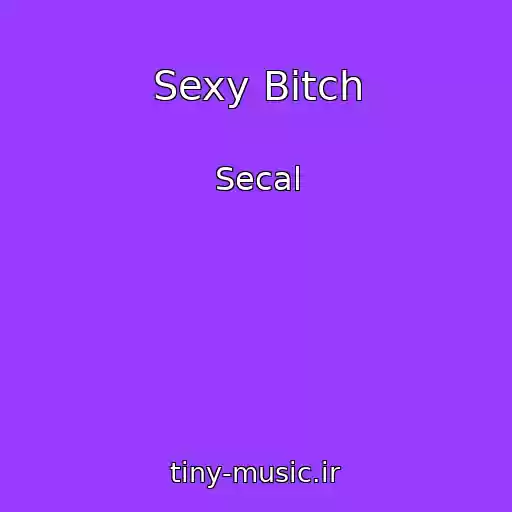 کاور آهنگ Sexy Bitch از Secal