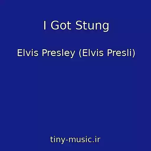 کاور آهنگ I Got Stung از Elvis Presley (Elvis Presli)