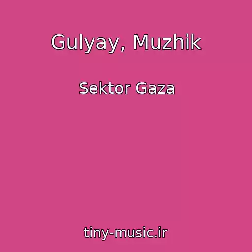 کاور آهنگ Gulyay, Muzhik از Sektor Gaza