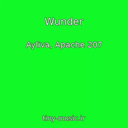 کاور آهنگ Wunder از Ayliva, Apache 207