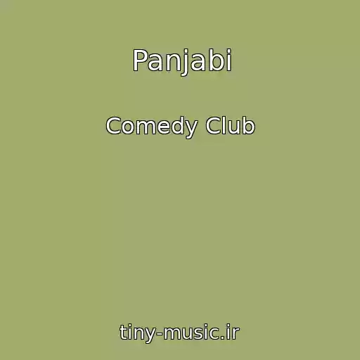کاور آهنگ Panjabi از Comedy Club