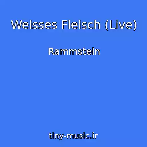 کاور آهنگ Weisses Fleisch (Live) از Rammstein