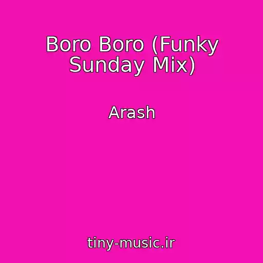 کاور آهنگ Boro Boro (Funky Sunday Mix) از Arash
