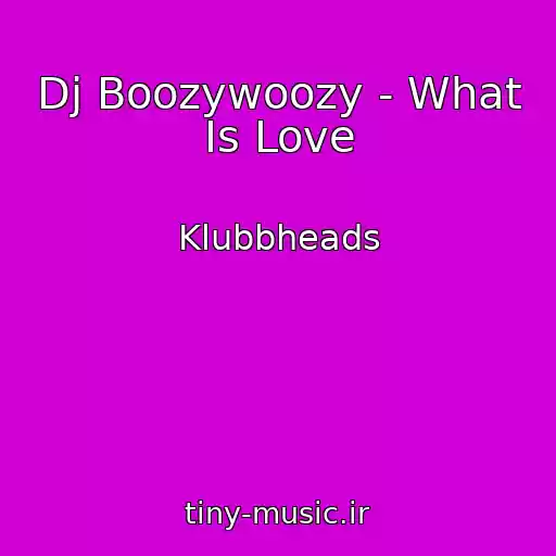 کاور آهنگ Dj Boozywoozy - What Is Love از Klubbheads