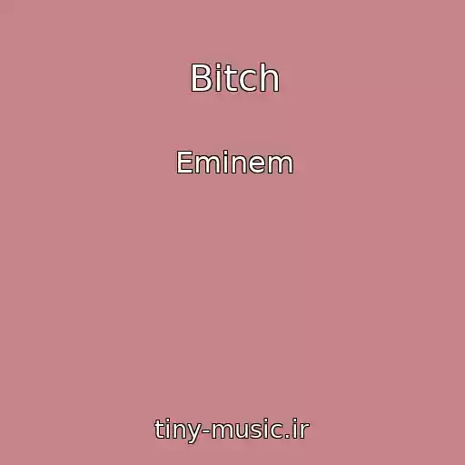 کاور آهنگ Bitch از Eminem