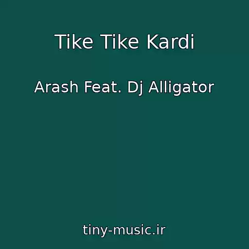 کاور آهنگ Tike Tike Kardi از Arash Feat. Dj Alligator
