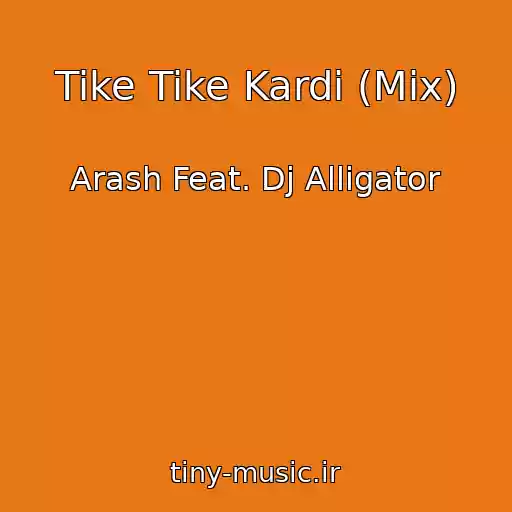 کاور آهنگ Tike Tike Kardi (Mix) از Arash Feat. Dj Alligator