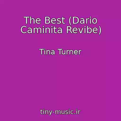 کاور آهنگ The Best (Dario Caminita Revibe) از Tina Turner