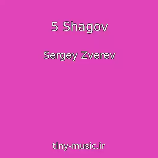 کاور آهنگ 5 Shagov از Sergey Zverev