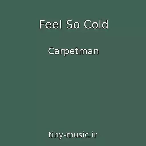 کاور آهنگ Feel So Cold از Carpetman