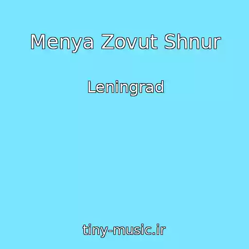 کاور آهنگ Menya Zovut Shnur از Leningrad