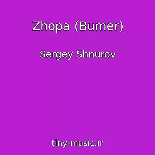 کاور آهنگ Zhopa (Bumer) از Sergey Shnurov