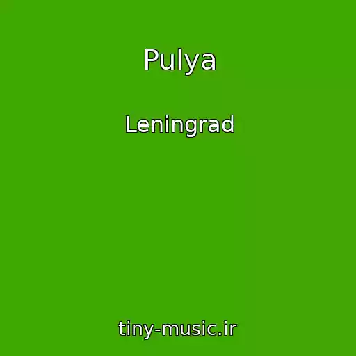 کاور آهنگ Pulya از Leningrad
