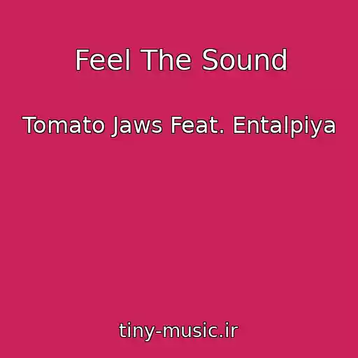 کاور آهنگ Feel The Sound از Tomato Jaws Feat. Entalpiya