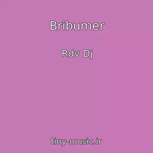 کاور آهنگ Bribumer از Rdv Dj