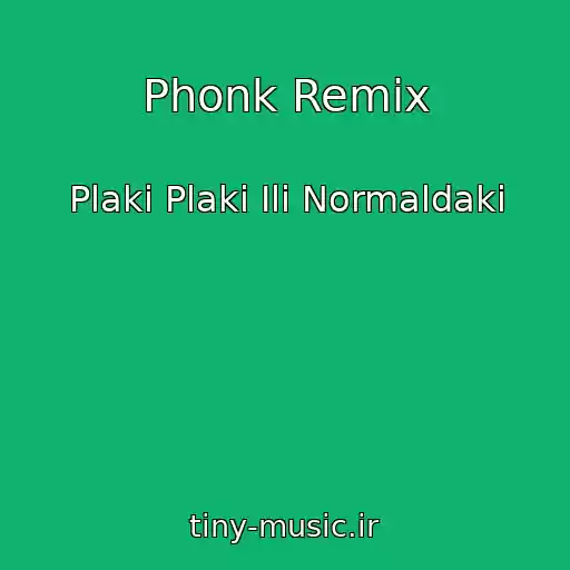 کاور آهنگ Phonk Remix از Plaki Plaki Ili Normaldaki