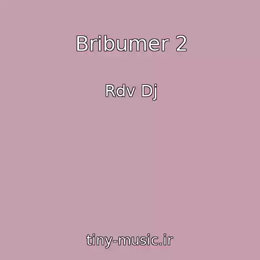 کاور آهنگ Bribumer 2 از Rdv Dj