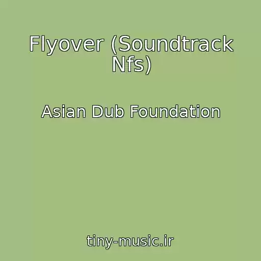 کاور آهنگ Flyover (Soundtrack Nfs) از Asian Dub Foundation