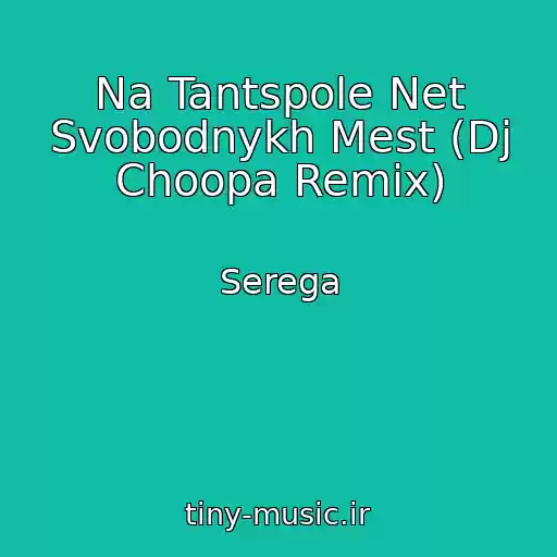 کاور آهنگ Na Tantspole Net Svobodnykh Mest (Dj Choopa Remix) از Serega