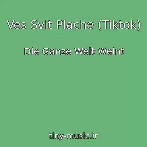 کاور آهنگ Ves Svіt Plache (Tiktok) از Die Ganze Welt Weint