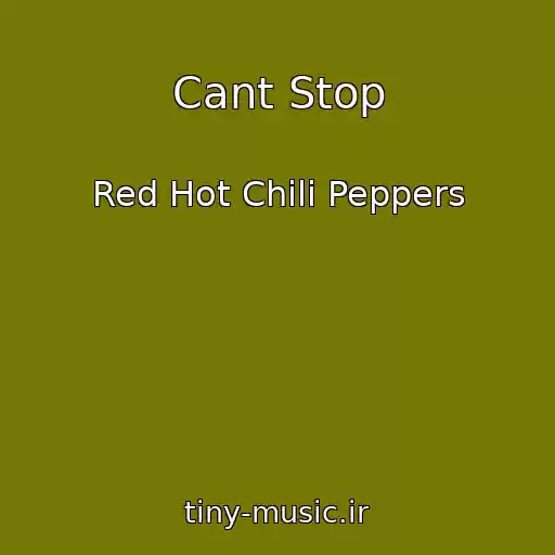 کاور آهنگ Cant Stop از Red Hot Chili Peppers