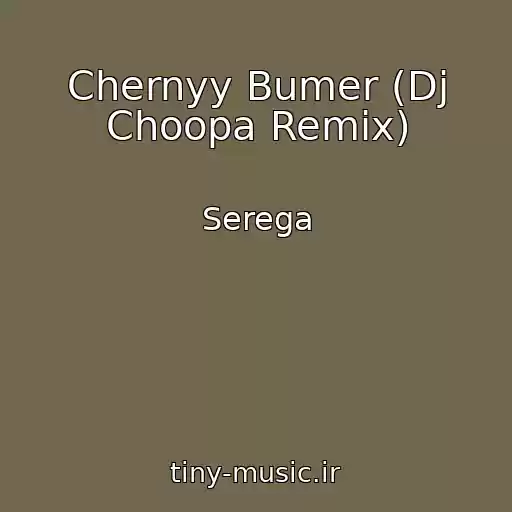 کاور آهنگ Chernyy Bumer (Dj Choopa Remix) از Serega