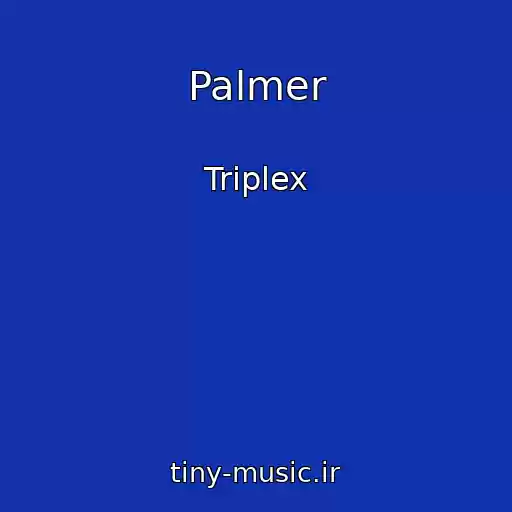 کاور آهنگ Palmer از Triplex
