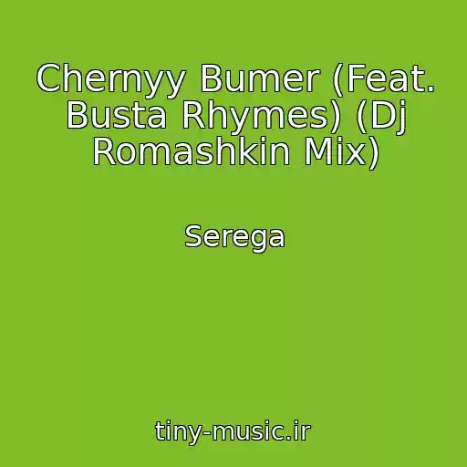 کاور آهنگ Chernyy Bumer (Feat. Busta Rhymes) (Dj Romashkin Mix) از Serega