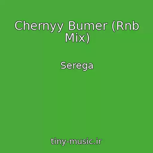 کاور آهنگ Chernyy Bumer (Rnb Mix) از Serega