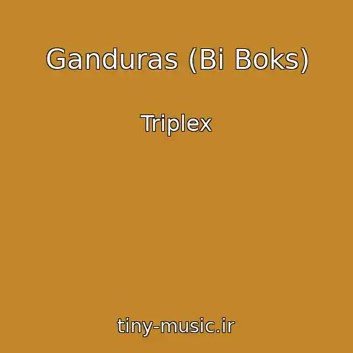 کاور آهنگ Ganduras (Bi Boks) از Triplex