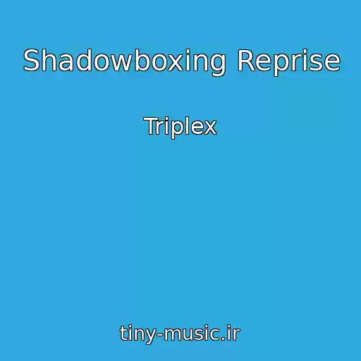 کاور آهنگ Shadowboxing Reprise از Triplex
