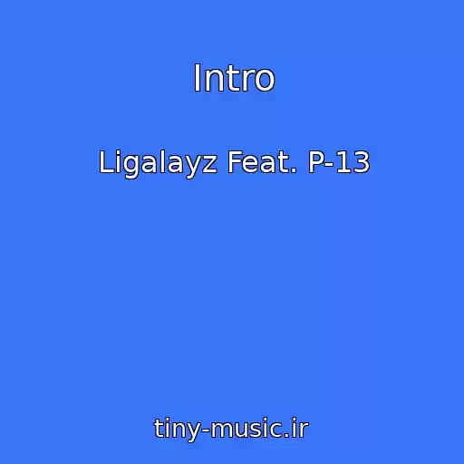 کاور آهنگ Intro از Ligalayz Feat. P-13