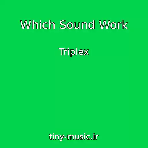 کاور آهنگ Which Sound Work از Triplex