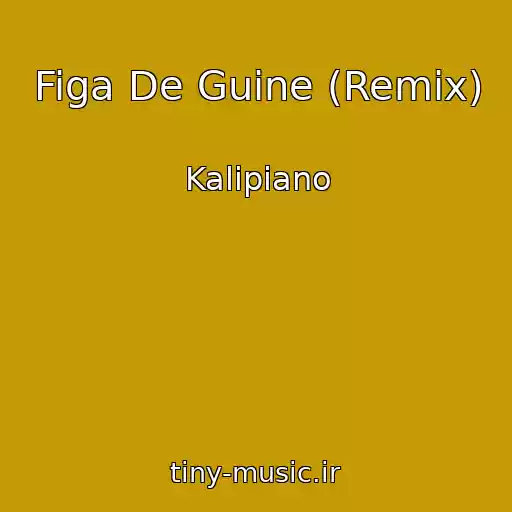 کاور آهنگ Figa De Guine (Remix) از Kalipiano