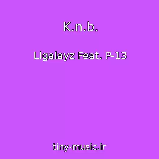 کاور آهنگ K.n.b. از Ligalayz Feat. P-13