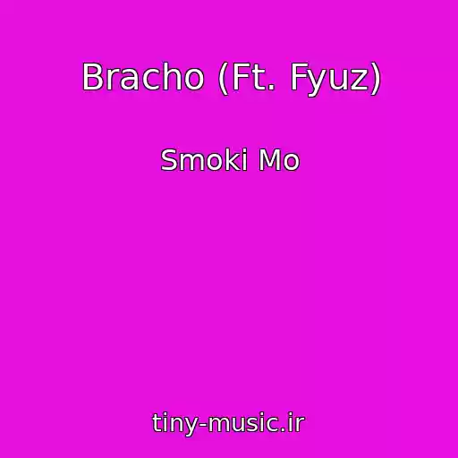 کاور آهنگ Bracho (Ft. Fyuz) از Smoki Mo