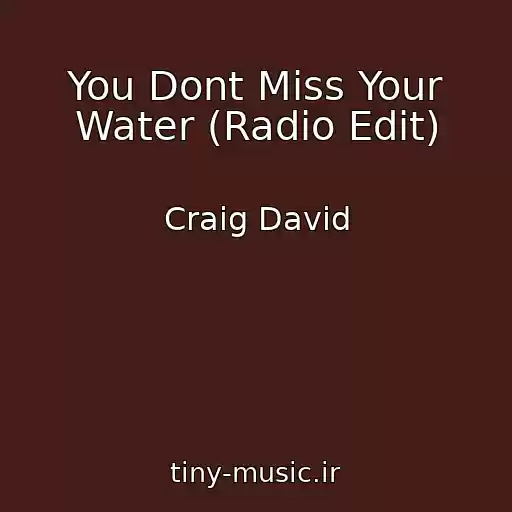 کاور آهنگ You Dont Miss Your Water (Radio Edit) از Craig David