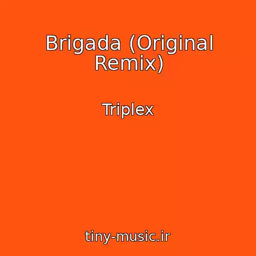 کاور آهنگ Brigada (Original Remix) از Triplex