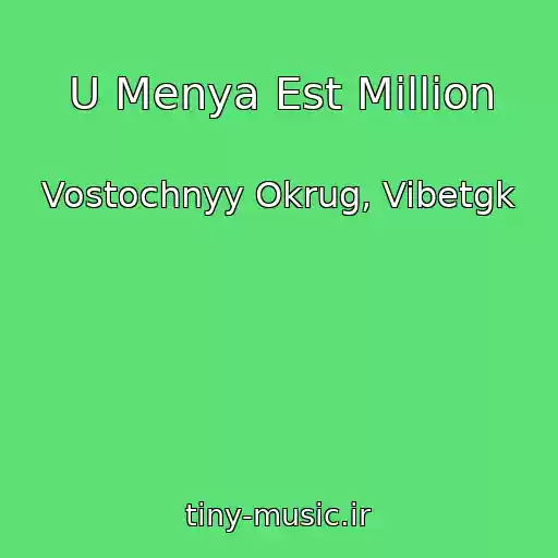 کاور آهنگ U Menya Est Million از Vostochnyy Okrug, Vibetgk