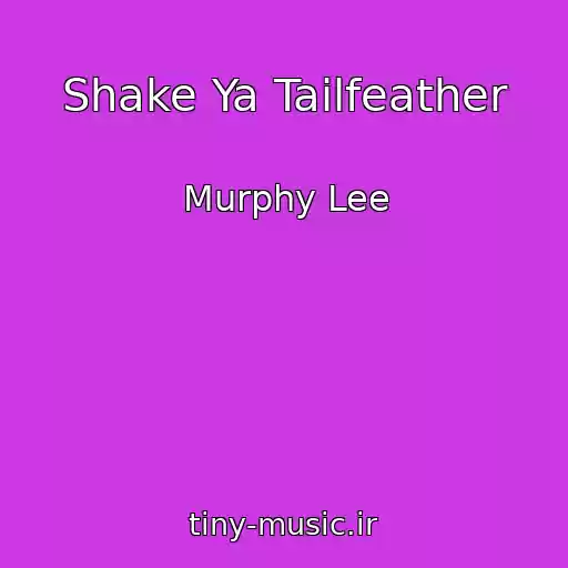 کاور آهنگ Shake Ya Tailfeather از Murphy Lee