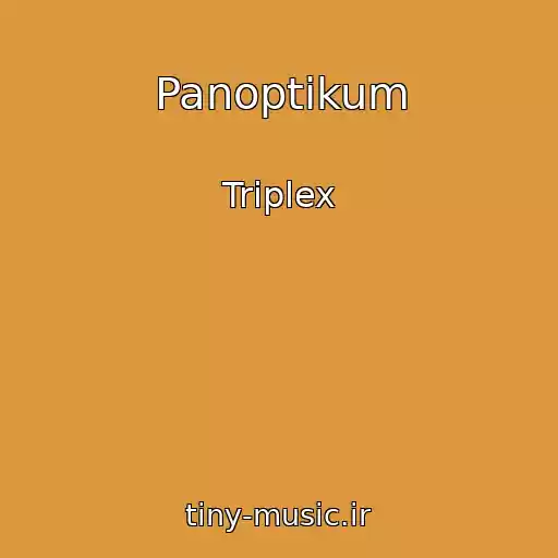 کاور آهنگ Panoptikum از Triplex