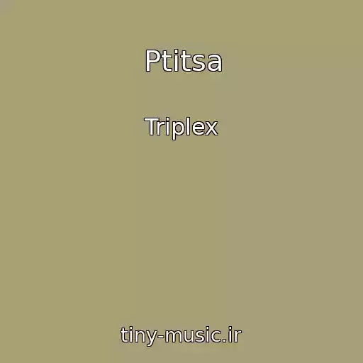 کاور آهنگ Ptitsa از Triplex