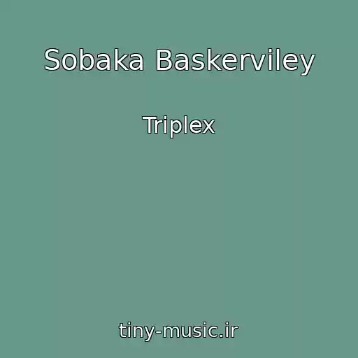 کاور آهنگ Sobaka Baskerviley از Triplex
