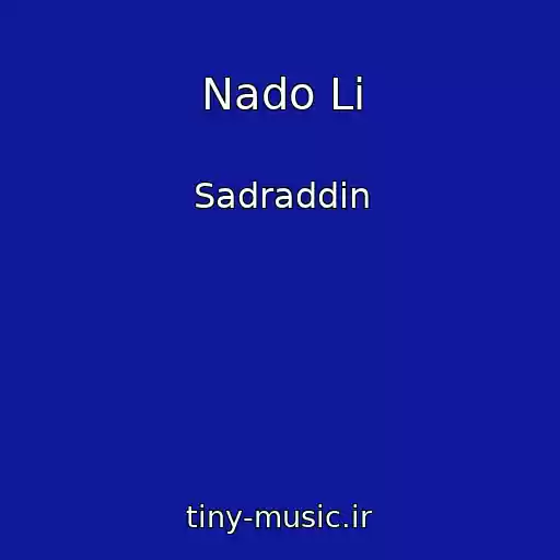 کاور آهنگ Nado Li از Sadraddin
