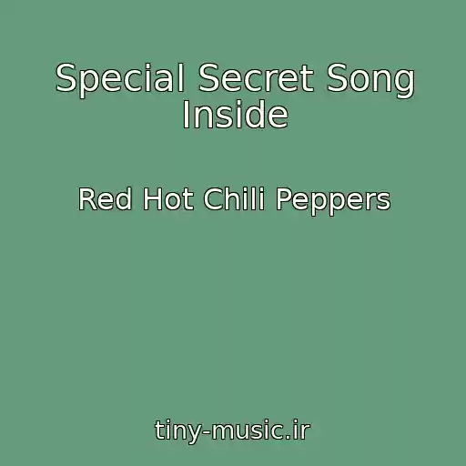 کاور آهنگ Special Secret Song Inside از Red Hot Chili Peppers