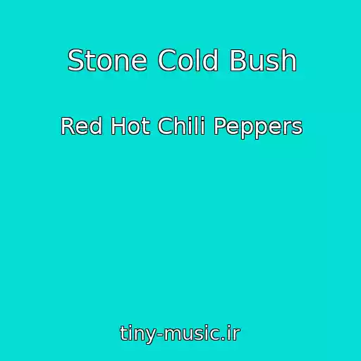 کاور آهنگ Stone Cold Bush از Red Hot Chili Peppers