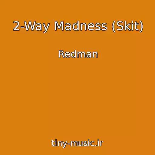 کاور آهنگ 2-Way Madness (Skit) از Redman