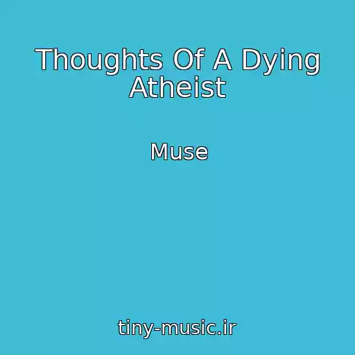 کاور آهنگ Thoughts Of A Dying Atheist از Muse