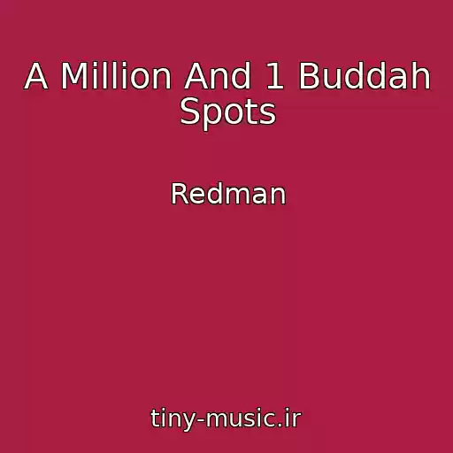 کاور آهنگ A Million And 1 Buddah Spots از Redman
